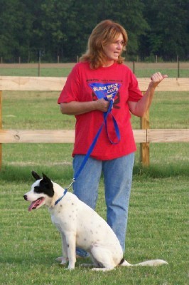 Obedience Class