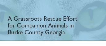 A Grassroots Rescue Effort for Companion Animals in Burke County Georgia