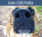 Join Old Fella