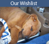 Our Wishlist